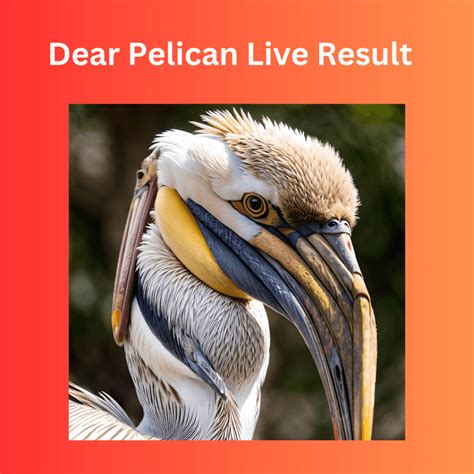 dear pelican wednesday weekly lottery 8pm|DEAR PELICAN WEDNESDAY WEEKLY DEAR 8 PM .